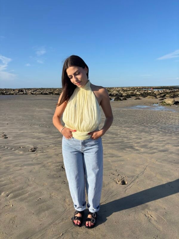 Top Aurore de plein pieds